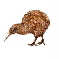 A Nude Beach – A Yank Among the Kiwis