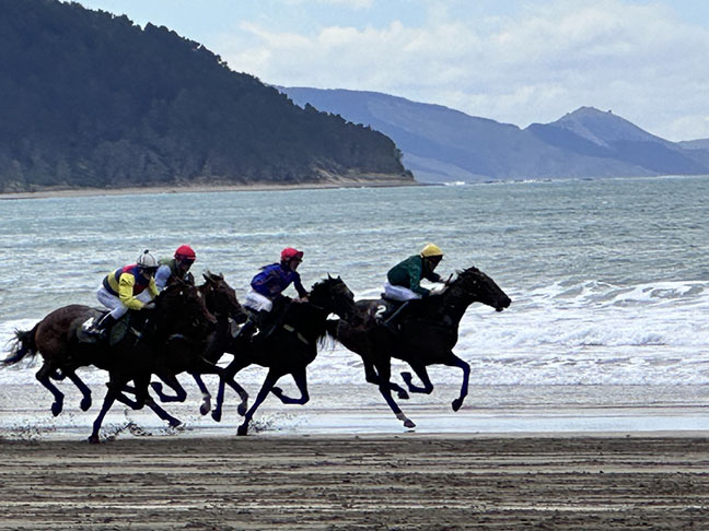 How we spent our summer – Part 3 Castlepoint Races. – A Yank Among the ...